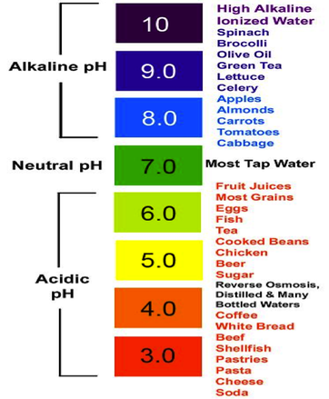 what scale measures the strength of acids and bases